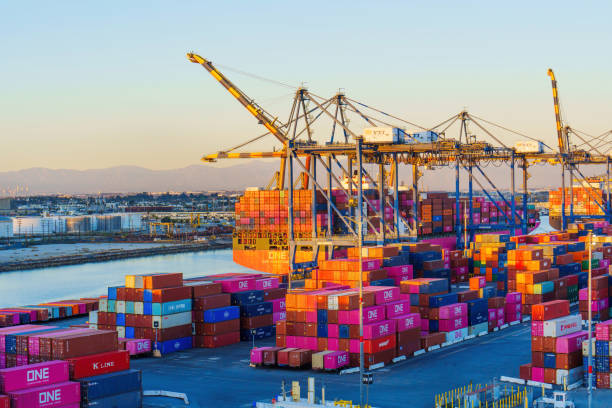 Container port and freight forwarding
